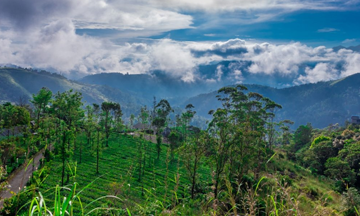 Best houseboat with tour package in alappuzha kerala