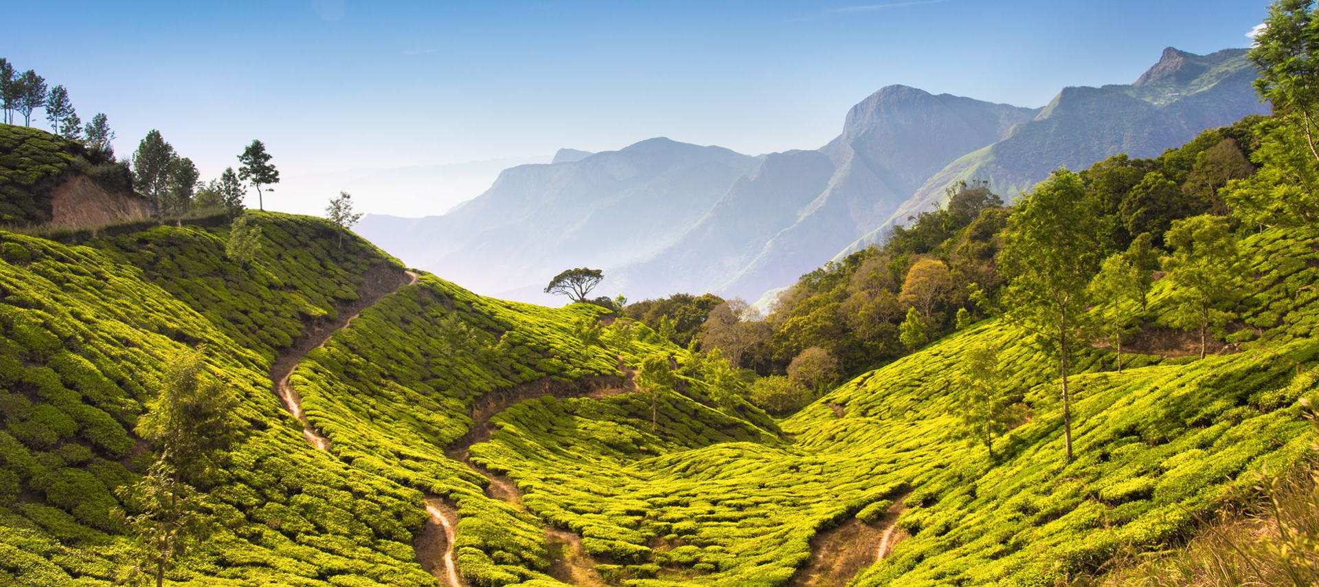 Best Houseboats Booking in Kerala